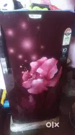 Fresh condition