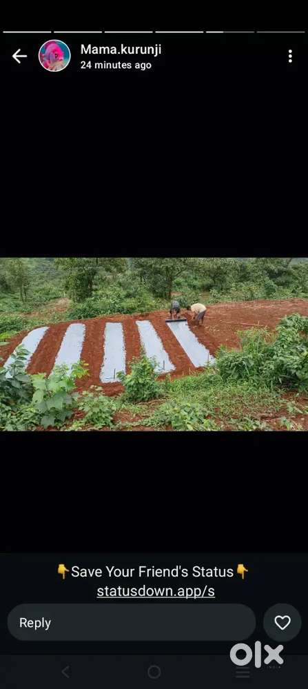 Dam View farmhouse plot