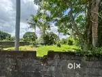 20 CENT PLOT PARAVOOR, VALIYAKULANGARA  Road