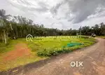Land for Sale at Vadakkekara, Periya, Kasargod