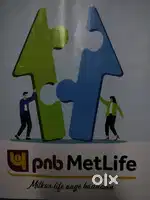 Manager, Distribution Manager, Financial adviser