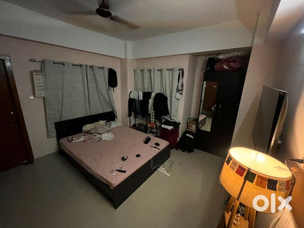 Need a male roommate