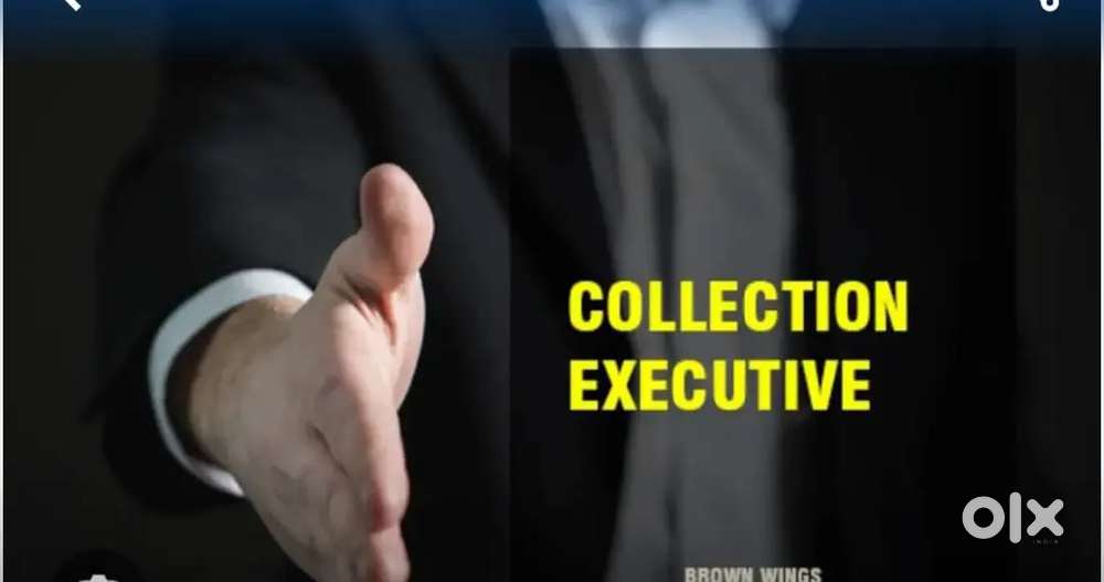 Collection Executive