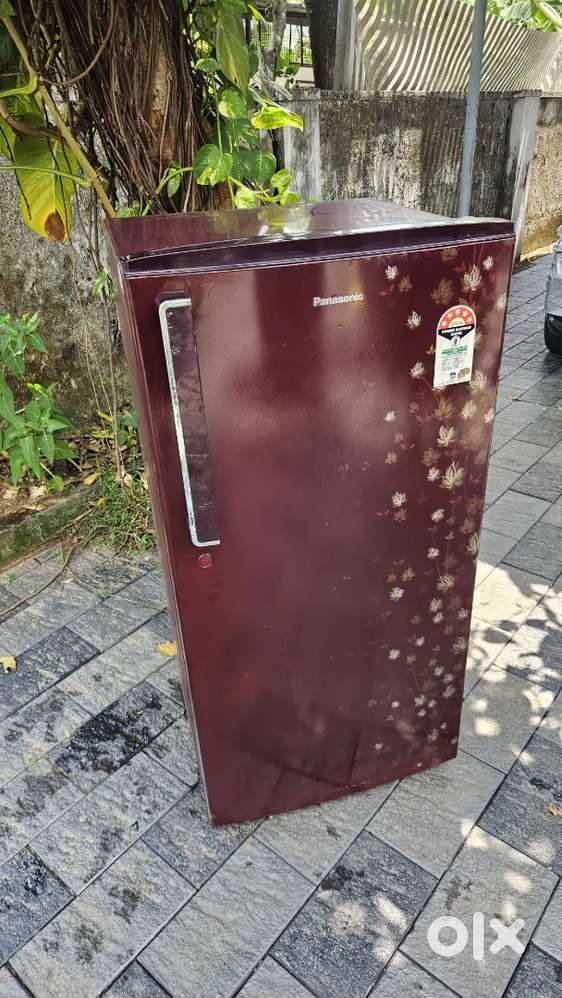 5 star Rating single door fridge