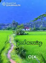 ഇരിഞ്ഞാലക്കുടയിൽ നിന്നും 5 KM ദൂരത്തിൽ 5 Acre നെൽവയൽ വില്പനയ്ക്ക്