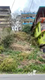 200 sq yard plot on barog kumarhatti highway