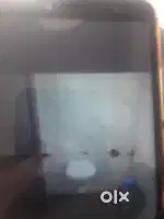 Shiv krupa Royal patk 1 univar city rod rajkot