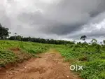 KOTTAYAM TOWN 3 TO 10 ACRE COMRCL/ RESDNL PROPERTY FOR RENT OR SALE