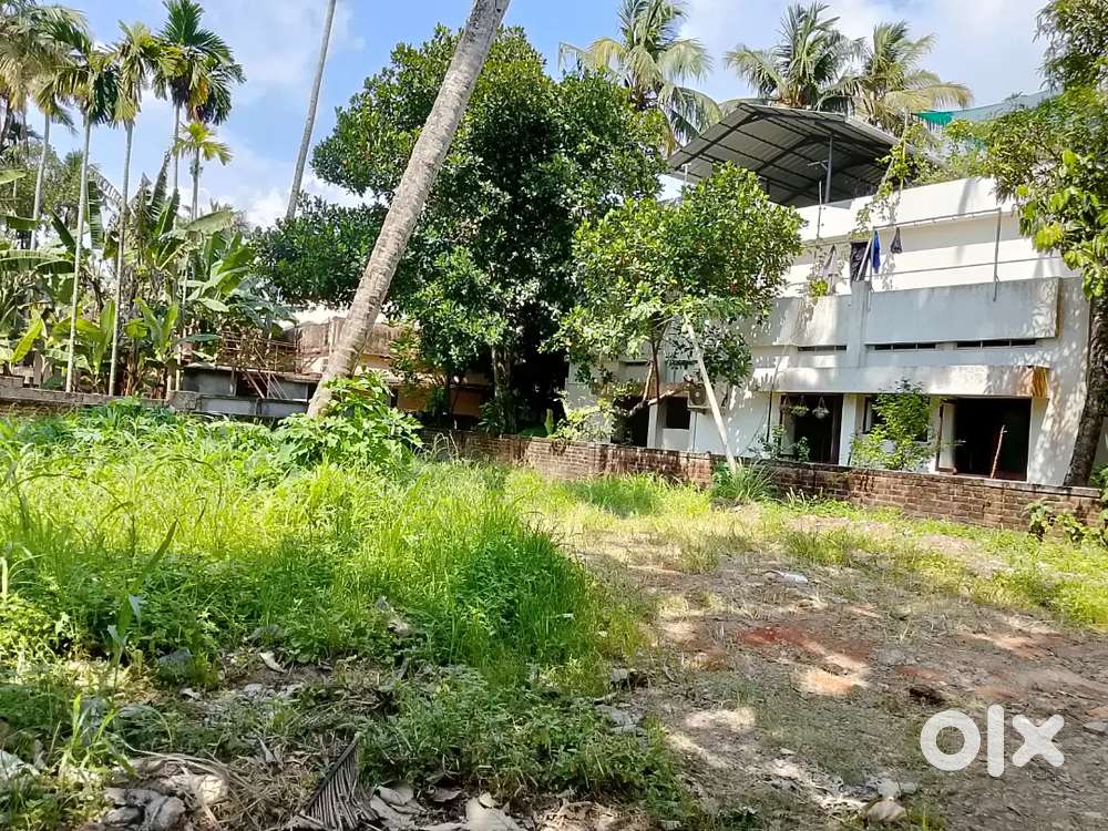 Near Pattam St.Marys School 8 Cent Per Karabhumi Per Cent 16 Lakhs