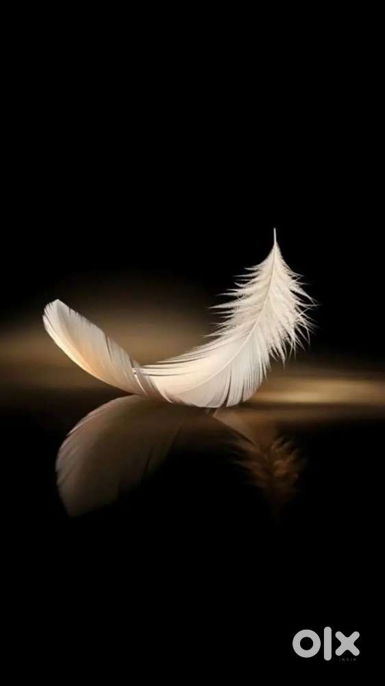 My lab diagnostic centre rajakumari