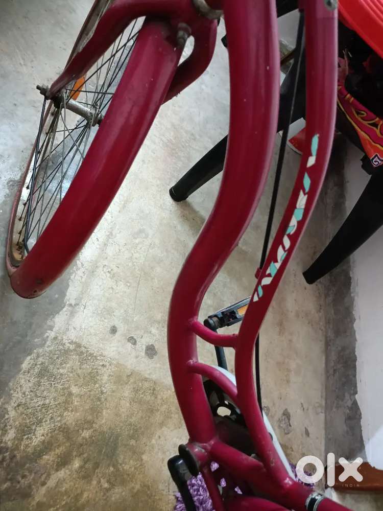 TATA STRYDER cycle very good condition New condition