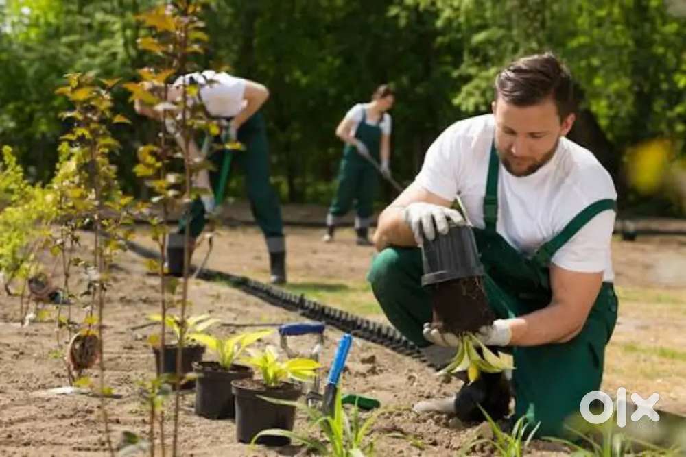 தஞ்சாவூர் தோட்ட வேலைக்கு ஆள் தேவை