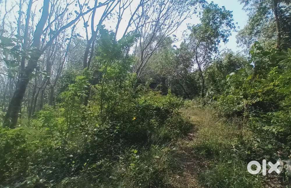 Home with rubber plot sale 4acar x