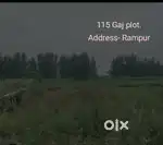 115 Gaj ka Plot