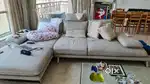 Soft cum Bed