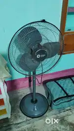 Orient pedestal fan