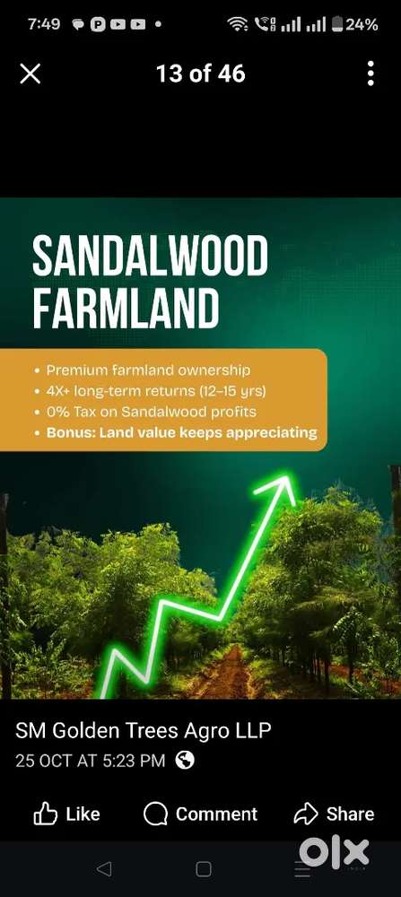 Odisha Sandal wood farming project