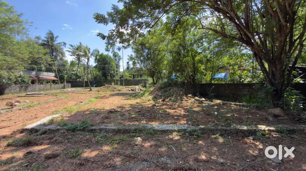 Plots for sale- 5 cents villa/house plots for sale near Cochin Airport