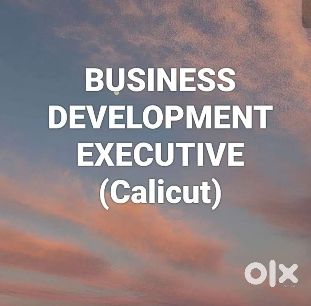 Business Development Executive