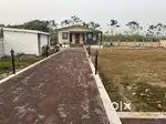 फार्महाउस बनाने के लिए जबरदस्त प्लॉट