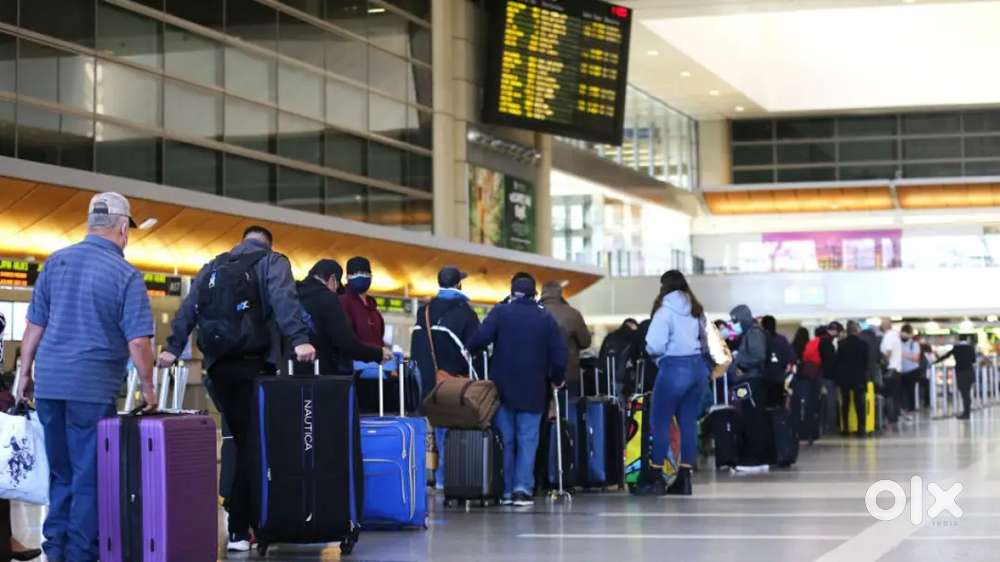 Urgent hiring for ground staff in Lucknow airport