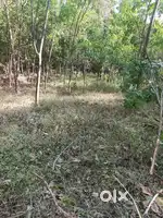 പാലാ രാമപുരത്ത് ഒരു ഏക്കർ ഏഴ് സെൻ്റ് സ്ഥലം, 65 ലക്ഷം രൂപയ്ക്ക്