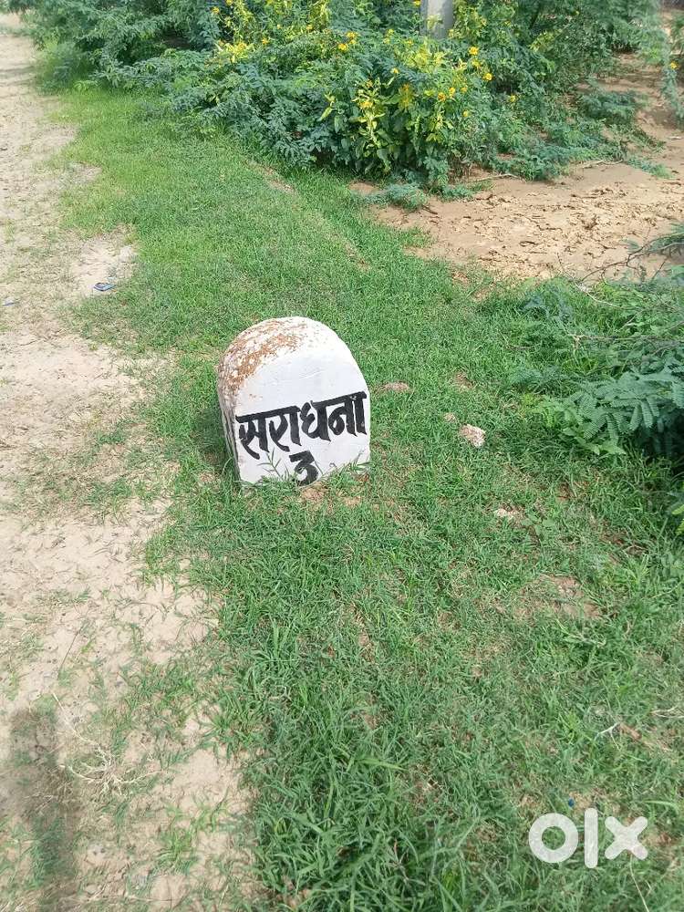 सराधना से मशीनिया वाले में रोड पर पौने 2 बीघा जमीन बेचनी है।