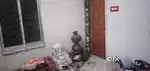 2 BHK HOUSE RENT IN KANCHRA PARA