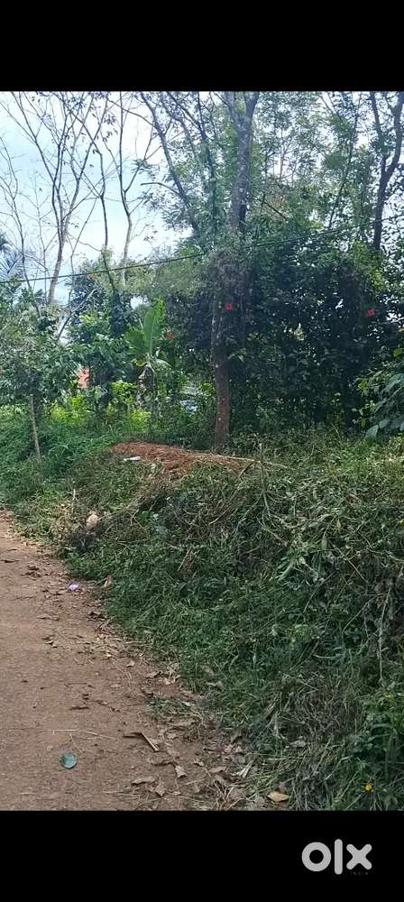 67 cent Plot for sale