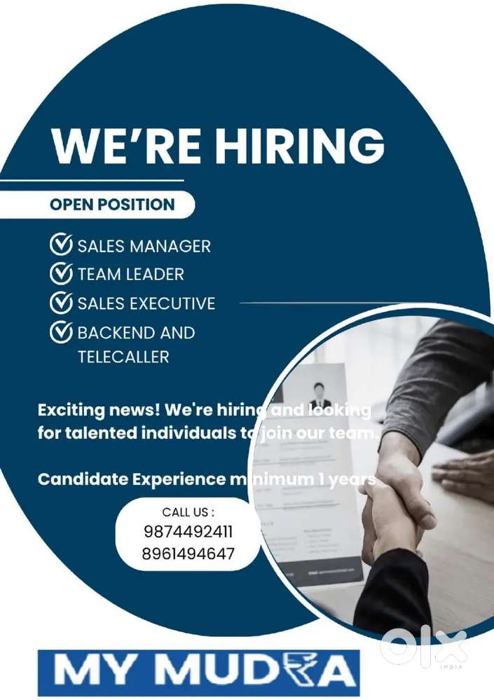 Sales Manager, Team Leader, Back Office & Telecaller