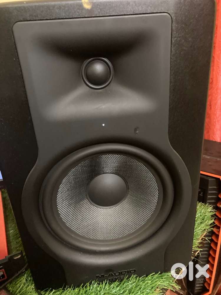 Maudio bx8a minitors