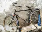 20 inch cycle