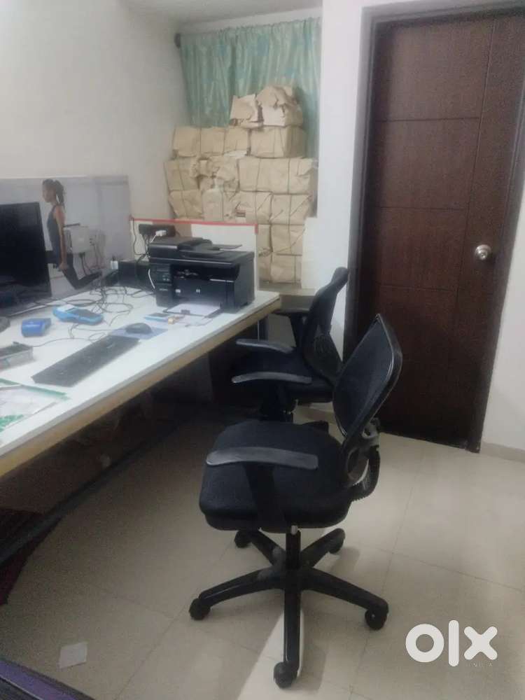 Female office assistant Majestic