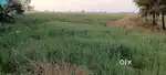 Prime Investment Land for Sale in Dhankadha, Rohtas – ₹25 Lakh per Kat