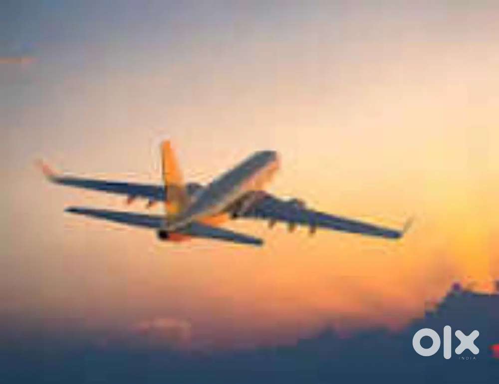 Hiring open for Freshers