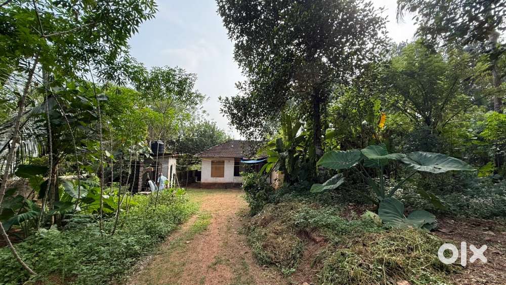 Land with house for sale in Vallamkulam , Nannoor