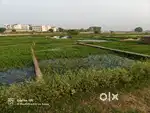 150 gaj plot behind Allen House public school