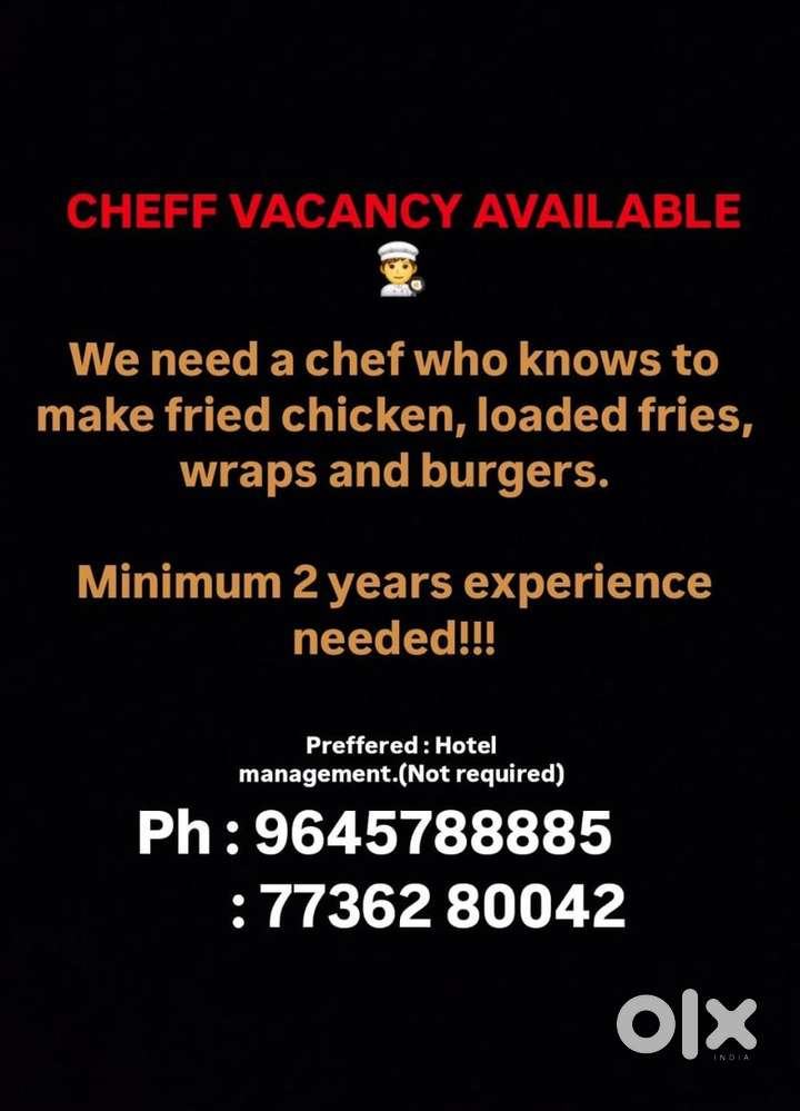 Need a chef at kaloor kochi