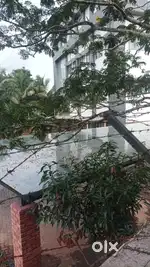 Home servent