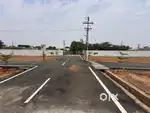 திருப்பூர் தென்மாவட்ட பேருந்து நிலையம் பின்புறம் DTCp approved layout