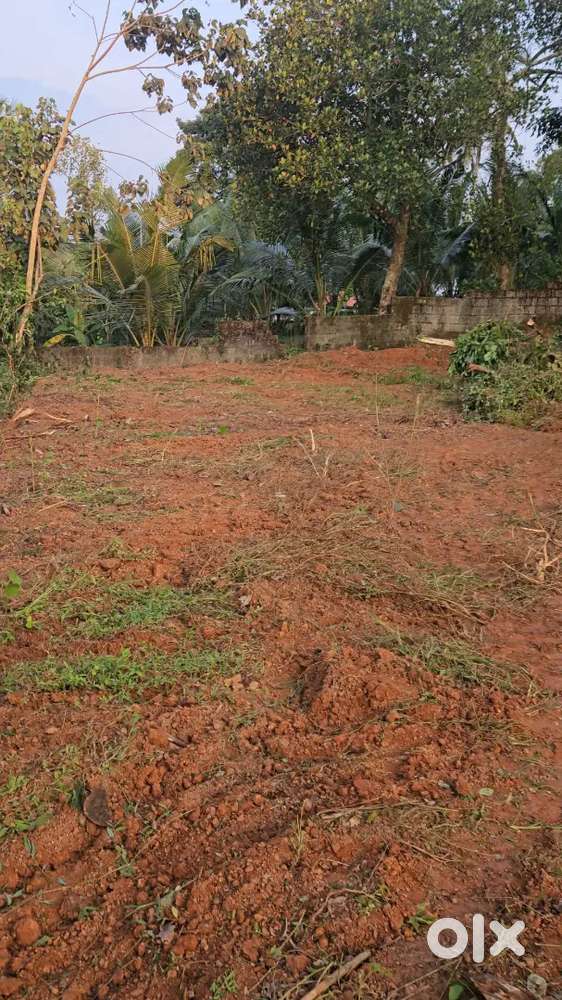 Residential plots near mulakkuzha available