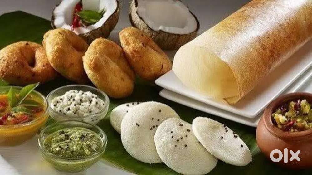 Dosa master and southindian cook