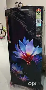 IFB Refrigerator