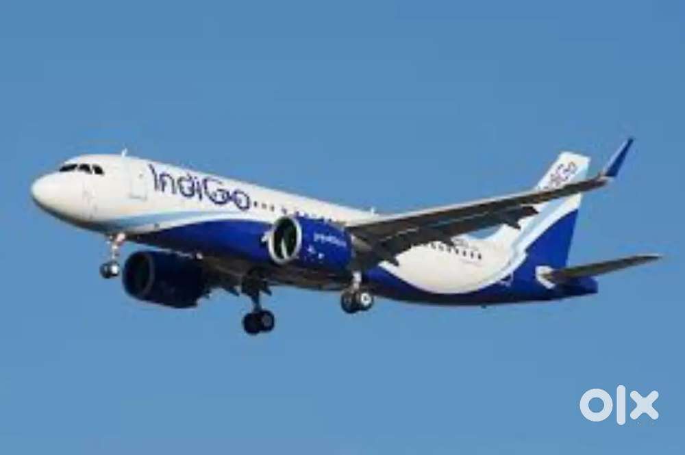 Urgent need for indigo airline ticket executive