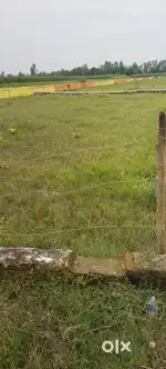 Plot for sale