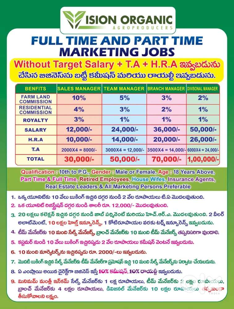 Branch manager/without target marketing jobs