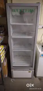 Display Freez & Freezer