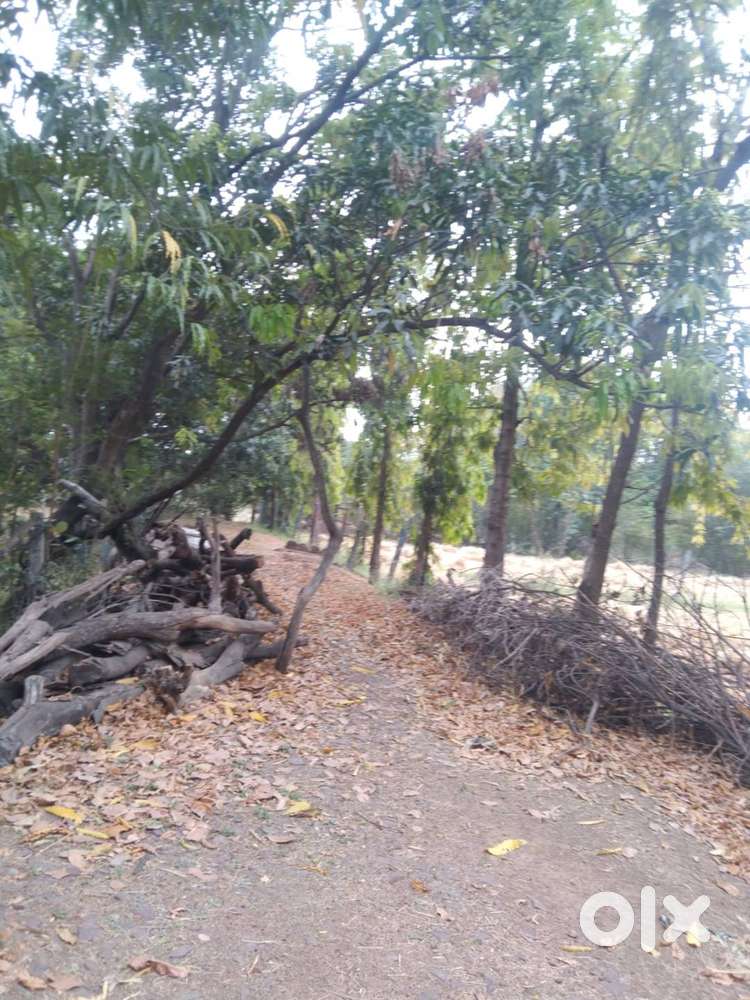 FARM HOUSE FOR SALE NEAR MAIN KOLAR ROAD