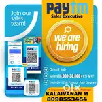 Sales Executive