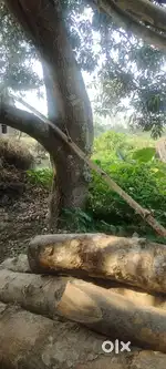 Very nice place jogpur road er pase.for new house